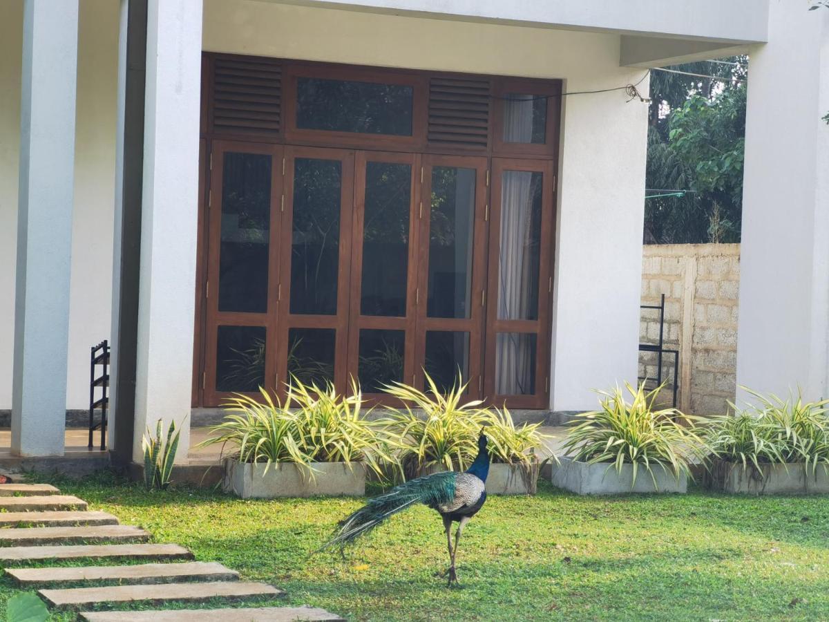 Ruwinsons Canal Garden Anuradhapura Exterior foto
